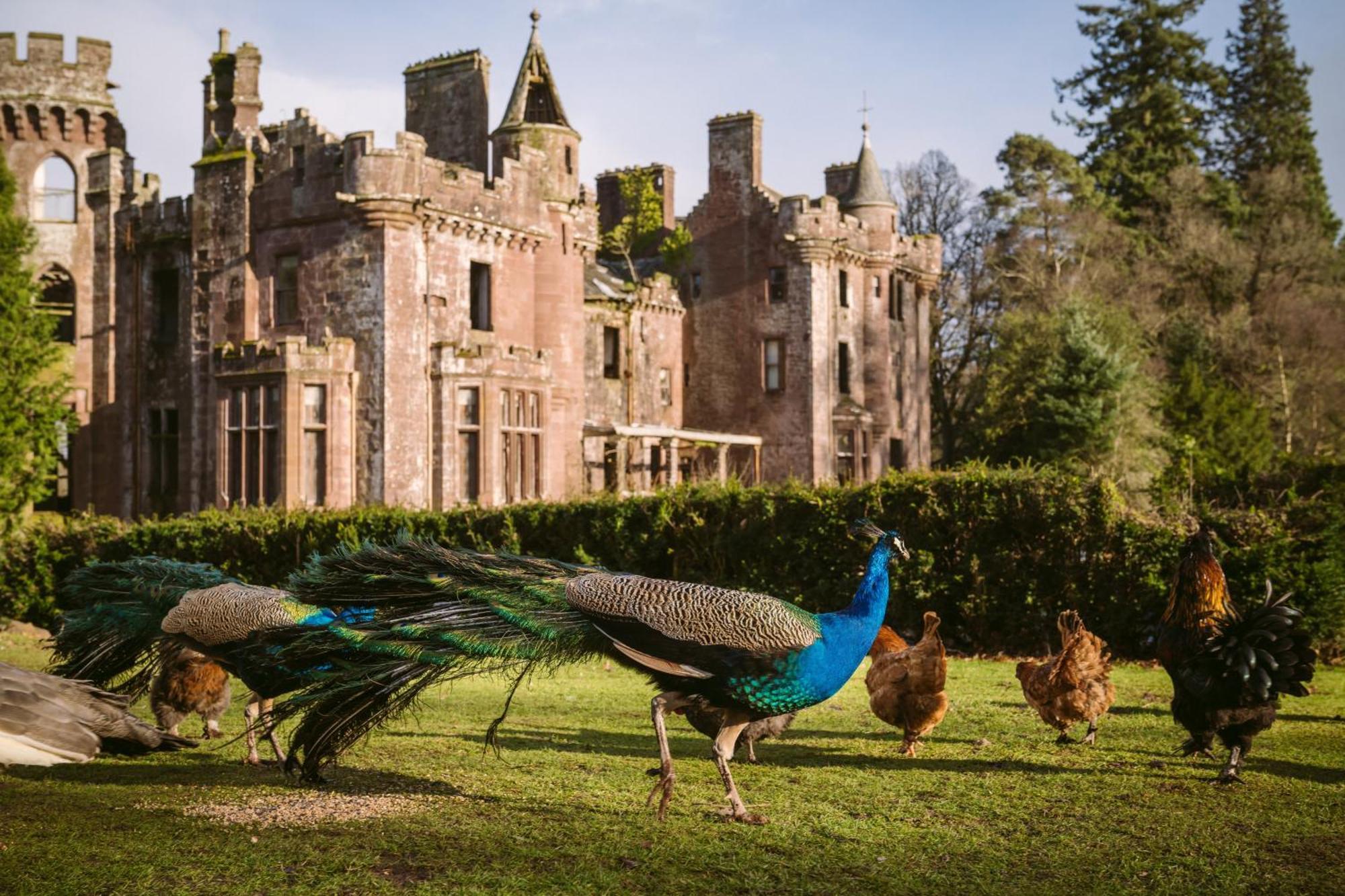 Luxury Woodland Lodge Retreat At Culdees Castle Crieff Kültér fotó